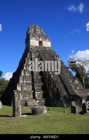 Hohe Pyramide, Nördliche Akropolis, Tikal, Maya Stadt Guatemala Stockfoto