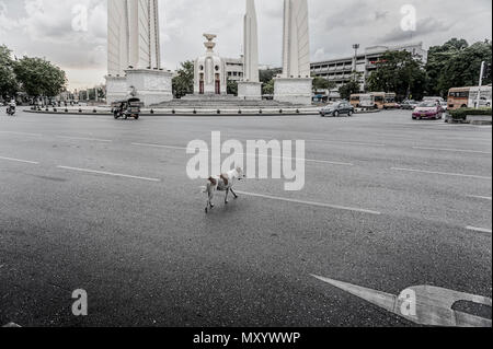 Ein streunender Hund über die Straße neben der Demokratie Denkmal in Ratchadamnoen Avenue, Bangkok, Thailand Stockfoto