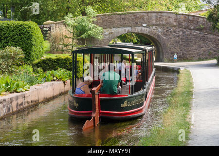 Pferd 15-04 mit Touristen ein Vergnügen Reise entlang der 200 Jahre alten Llangollen Canal in Nord Wales gezeichnet Stockfoto