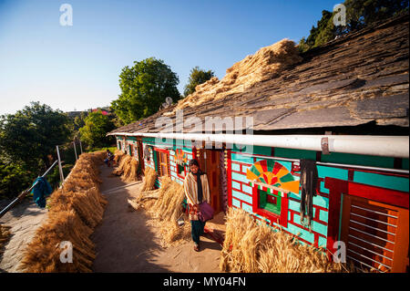 Typische Kumaoni Haus, wo ein Haufen Weizen trocknen in der Sonne ist, Kala Agar Dorf, Kumaon Hügel, Uttarakhand, Indien Stockfoto