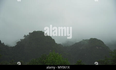 Nebel in der Bergigen Regenwald. Nebel in den Bergen, und trübe Wetter. Niedrige Wolken und Nebel auf dem Berg. Stockfoto