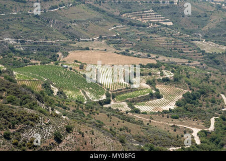 Weinberge auf einem Terrassierten hilside in der Region Paphos Zypern Stockfoto