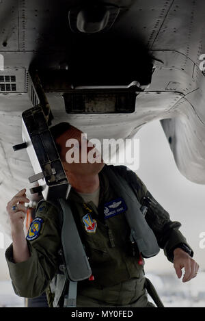 Oberst Christopher Salbei, 4 Fighter Wing Commander, führt eine Preflight check an einer F-15E Strike Eagle vor dem Take-off, November 30, 2016, bei Seymour Johnson Air Force Base, North Carolina. Piloten verhalten Preflight prüft die Sicherheit und Zuverlässigkeit ihrer Flugzeuge zu gewährleisten. (U.S. Air Force Foto von Airman 1st Class Kenneth Boyton) Stockfoto