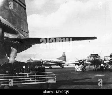 Flughafen Brisbane, Eagle Farm, c 1960. Zwei Trans Australian Airlines Convair CV-240 s am Flughafen Brisbane. Australian National Airways (ANA) leitete eine Air Service von Eagle Farm nach Sydney im Jahr 1930. Eagle Farm war geschlossen vom 31. Januar 1931 und der Zivilgesellschaft auf den Flugbetrieb Archerfield Flughafen bewegt. Eagle Farm wurde durch das von der Royal Australian Air Force von 1940 bis 1947. Ansett - ANA und Trans Australia Airlines verschoben, die Vorgänge zu Eagle Farm am 10. März 1947. Verkehr begann die Einrichtungen, die von den späten 1960er zu wachsen s und Eagle Farm wurde schließlich mit der aktuellen Brisbane ersetzt ein Stockfoto