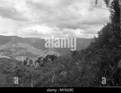 Canungra-schlucht (West Branch) Tal, Lamington National Park, Beaudesert Shire,. Stockfoto