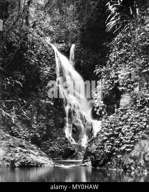 Elabana fällt, Canungra-schlucht (West Branch), Lamington National Park, Beaudesert. Stockfoto