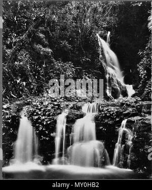 Elabana fällt, Canungra-schlucht (West Branch), Lamington National Park, Beaudesert. Stockfoto