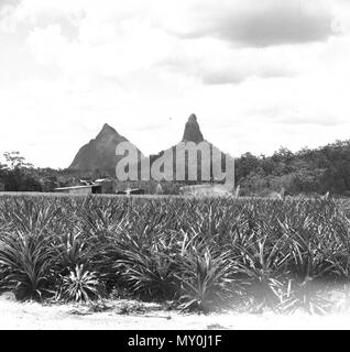 Glass House Mountains, Dezember 1970. Stockfoto