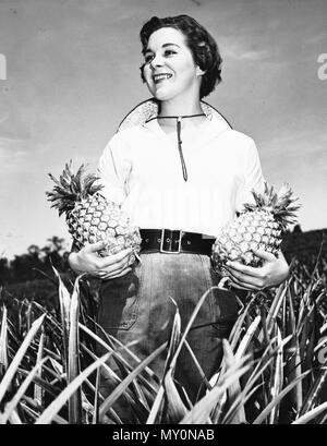 Ananas ernten, Beerburrum, 1957. Die State Farm bei Beerburrum wurde zunächst als Bauernhof für Soldaten Siedler, die Blöcke in der Nähe Soldaten Abrechnung eingestellt. Auf der westlichen Seite der Bahn entwickelt, das 610 Hektar große Farm war, wo Soldaten zurück in Landwirtschaft und Obstbau, die Umstellung auf das Land zu erleichtern. Die zurückgegebene Soldaten würden in die Produktion der ersten Ernte von Ananas beigetragen haben. Stockfoto