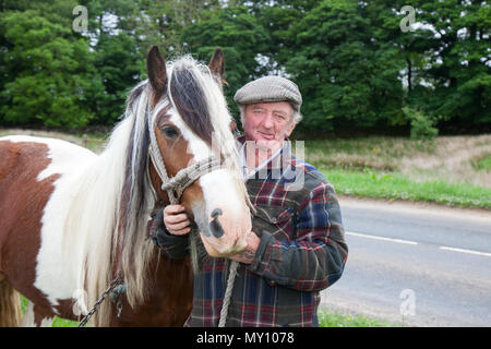 Kirkby Stephen, Cumbria, Großbritannien. 5. Juni 2018. UK Wetter. Appleby Horse Fair. Tommy Weiß Mitglied des fahrenden Köpfe für Appleby Horse Fair, da die Strassen in Cumbria und die Yorkshire Dales Weiden für ihre Cob Pferde bieten en-Rout zu ihrer jährlichen Versammlung. Die Pferdemesse ist jedes Jahr Anfang Juni statt. Es zieht etwa 10.000 Sinti und Roma und der Fahrenden und etwa 30.000 Menschen. Anstatt die Veranstaltung mit einem Programm festlegen, es ist wie das grösste traditionelle Gypsy Messe in Europa, einer in Rechnung gestellt, die wie eine große Familie zusammen. Quelle: Welt der Medien Bilder/Alamy Live Neue Stockfoto