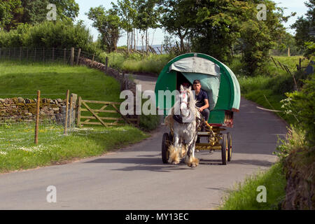 Kirkby Stephen, Cumbria, Großbritannien. 5.. Juni 2018. Wetter. Richard Huntly und Mitglieder der Reisesgemeinde fahren zur Appleby Horse Fair, da die Straßen in Cumbria und die Yorkshire Dales ihre Cob-Pferde auf dem Weg zu ihrem jährlichen Treffen weiden. Die Pferdemesse findet jedes Jahr Anfang Juni statt. Es zieht etwa 10.000 Zigeuner und Reisende und etwa 30.000 andere Menschen an. Statt einer organisierten Veranstaltung mit einem festgelegten Programm wird sie als die größte traditionelle Zigeunermesse in Europa berechnet, eine, die wie ein großes Familienkreis ist. Stockfoto