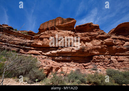 Havasu Falls Trail - Hualapai Hilltop zum Supai Village Stockfoto