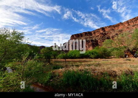 Havasu Falls Trail - Hualapai Hilltop zum Supai Village Stockfoto