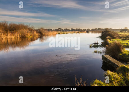 Morgenlicht über Fluss Avon, Christchurch, Dorset, England, Großbritannien Stockfoto