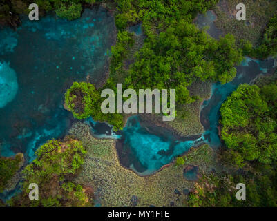 Blaues Wasser im See und lebendigen grünen Farben der Zelenci, Slowenien. Stockfoto