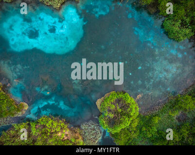 Schöne Luftaufnahme über Blue Lake in Zelenci, Slowenien. Stockfoto