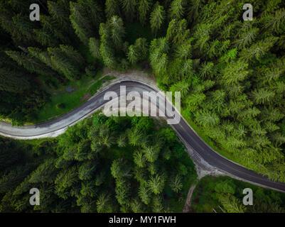 Kurvenreiche Straße in Wald, Antenne Drone, road trip Konzept. Stockfoto