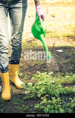 Gärtner tragen gelbe Gummistiefel Stiefel in Garten, getönten Bild