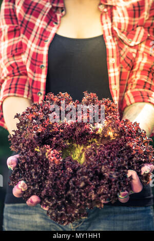 Junge Frau mit roten Salat im Garten. Stockfoto