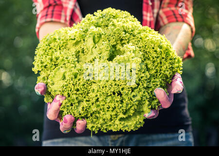 Junge Frau mit grünem Salat im Garten. Stockfoto