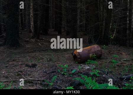 Ein rostiges Fass, Gedumpten vor langer Zeit in einem dunklen Kiefernwald Stockfoto