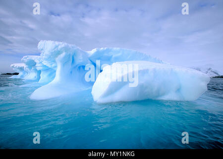 Treibende Eisberge in der Antarktis | Driften Eisberge in der Antarktis Stockfoto