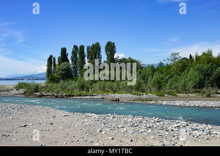 Natürliche Landschaft witNatural Landschaft mit Blick auf den Fluss, der ins Meer mit wachsenden Pflanzen und Bäume am Ufer fliesst. h Blick auf den Fluss Stockfoto