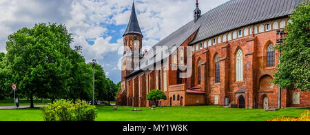 Kaliningrad, Russland - 18. Mai 2016: Panorama mit Blick auf die berühmte Kathedrale von üppigen Sommer Grün umgeben. Stockfoto