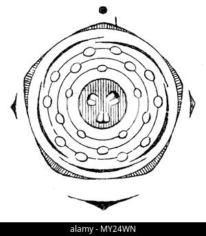 . Diagramm einer Blume von Sorbus domestica (Rosaceae). 11. Juni 2006 gescannt.de: Benutzer: Griensteidl 496 Sorbus domestica flowerdiagram Stockfoto
