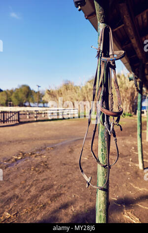 Vintage Leder Pferd Halfter hängen von den Holz- Pol eines Western Horse Farm. Stockfoto