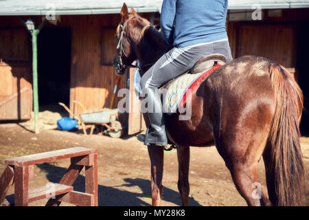 Reiter sitzen auf dem Sattel einer Kastanie Pferd, Reiten boot in den Bügel in einem ländlichen stabile Stockfoto