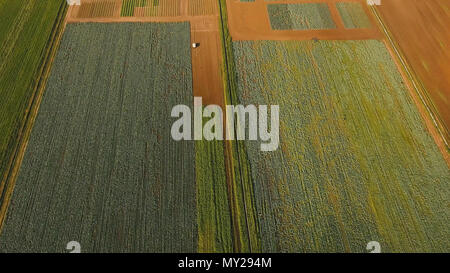 Luftaufnahme der landwirtschaftlichen, bestellten Felder. Landwirtschaftliche Landschaft. bewässertes Ackerland Stockfoto