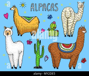 Satz von niedlichen Alpakas Lamas oder wildlebenden Guanako auf dem Hintergrund der Kakteen. Fröhlich lächelnd Tiere in Peru für Karten, Plakate, Einladungen, t-shirts. Hand gezeichneten Elemente. Graviert Skizze. Stock Vektor