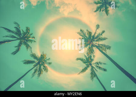Sun rainbow Runde halo Phänomen mit Palmen, vintage Sommer Hintergrund Stockfoto