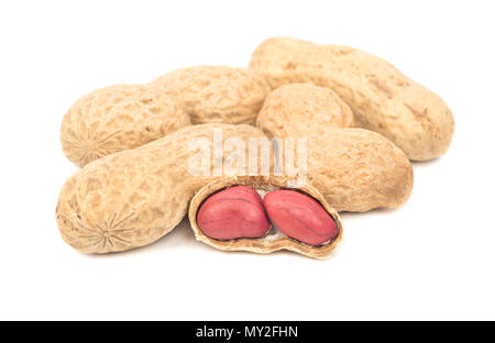 Peanut in offenen Shell auf weißem Hintergrund Stockfoto