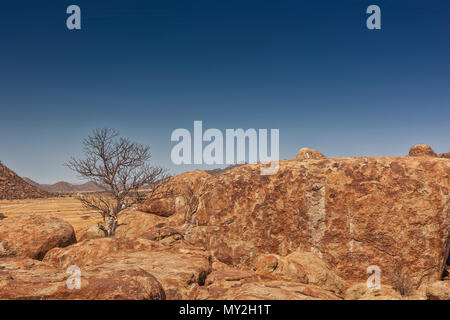 Riesen Stein, trockenen Baum in der namibe Wüste. Afrika. Angola. Stockfoto