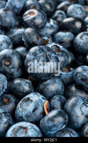 Hintergrund der einen großen Haufen von frischen Blaubeeren closeup Stockfoto