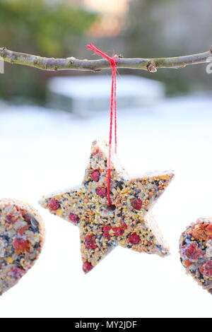 Hausgemachte Cookie Cutter Futterhäuschen mit Saatgut, Fett- und baumhecke Beeren aus einen kleinen Baum in einem Vorort Garten hing nach Schnee Herbst, Winter, Großbritannien Stockfoto