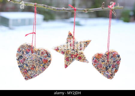 Hausgemachte Cookie Cutter Futterhäuschen mit Saatgut, Fett- und baumhecke Beeren aus einen kleinen Baum in einem Vorort Garten hing nach Schnee Herbst, Winter, Großbritannien Stockfoto