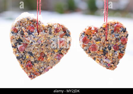 Hausgemachte Cookie Cutter Futterhäuschen mit Saatgut, Fett- und baumhecke Beeren aus einen kleinen Baum in einem Vorort Garten hing nach Schnee Herbst, Winter, Großbritannien Stockfoto