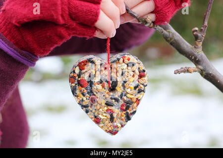 Hausgemachte Cookie Cutter Futterhäuschen mit Saatgut, Fett- und baumhecke Beeren durch einen weiblichen in einem Vorort Garten nach Schnee Herbst, Winter, UK hung Stockfoto