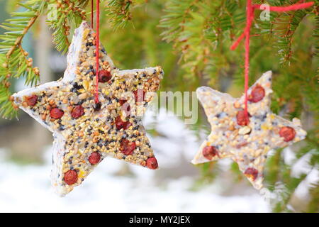 Hausgemachte Cookie Cutter Futterhäuschen mit Saatgut, Fett- und baumhecke Beeren aus einen kleinen Baum in einem Vorort Garten hing nach Schnee Herbst, Winter, Großbritannien Stockfoto