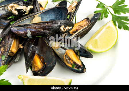 Köstlich zubereiteten Muscheln mit Kalk auf einem Teller, close-up Stockfoto