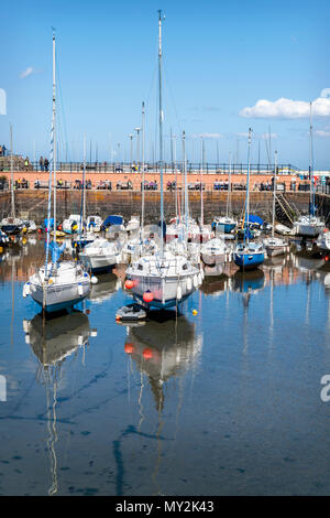 Boote im Hafen von North Berwick Stockfoto