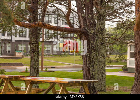 Bunten Fischen Bojen von einem Baum, Lunenburg, Nova Scotia, Kanada hängen Stockfoto