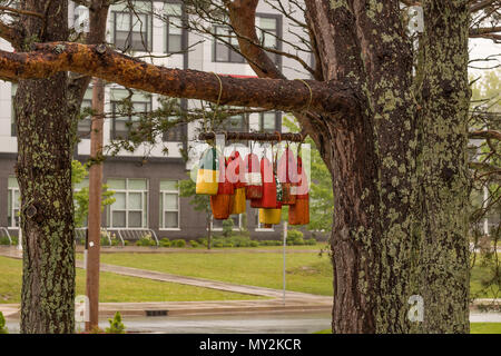 Bunten Fischen Bojen von einem Baum, Lunenburg, Nova Scotia, Kanada hängen Stockfoto