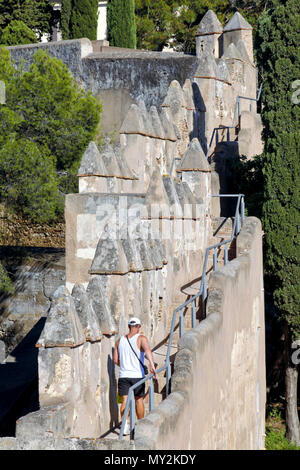 Castillo de Gibralfaro/Castillo de Gibralfaro Mauern, Malaga, Andalusien, Spanien Stockfoto