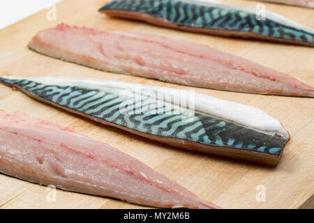 Raw Makrelen auf einer hölzernen Schneidebrett aus Makrelen Chesil Beach in Dorset an der Kolbenstange und Zeile mit Fleisch und Haut Musterung gefangen. Tun Stockfoto