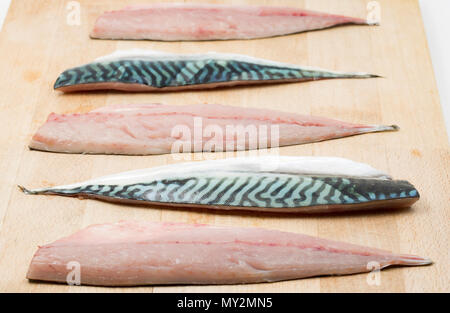 Raw Makrelen auf einer hölzernen Schneidebrett aus Makrelen Chesil Beach in Dorset an der Kolbenstange und Zeile mit Fleisch und Haut Musterung gefangen. Tun Stockfoto