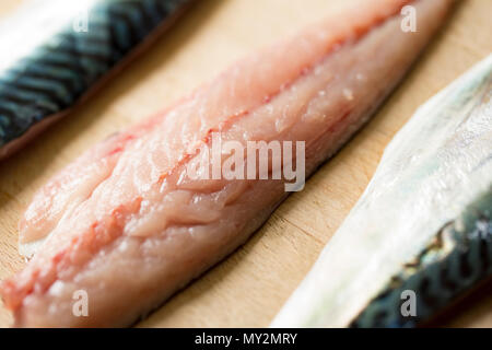 Raw Makrelen auf einer hölzernen Schneidebrett aus Makrelen Chesil Beach in Dorset an der Kolbenstange und Zeile mit Fleisch und Haut Musterung gefangen. Tun Stockfoto